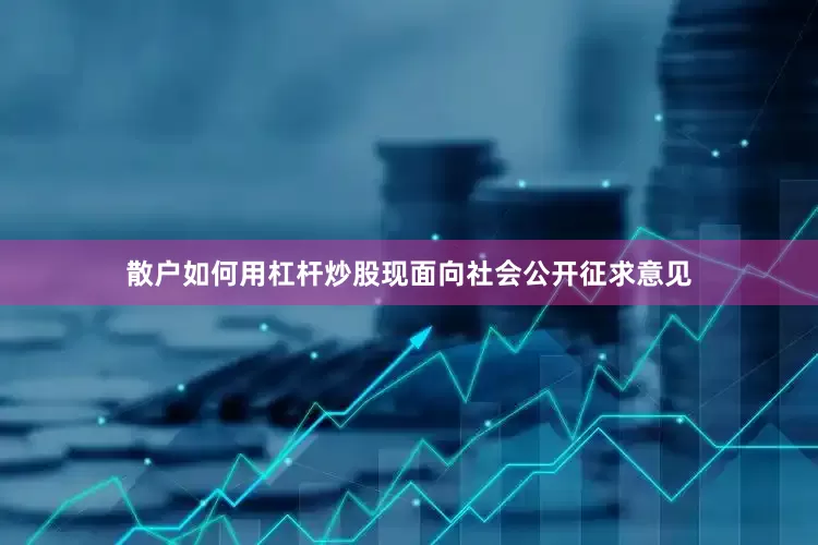 散户如何用杠杆炒股现面向社会公开征求意见