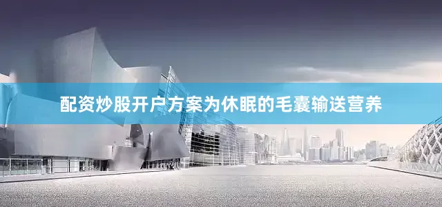 配资炒股开户方案为休眠的毛囊输送营养