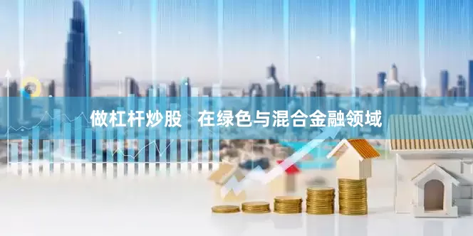 做杠杆炒股   在绿色与混合金融领域